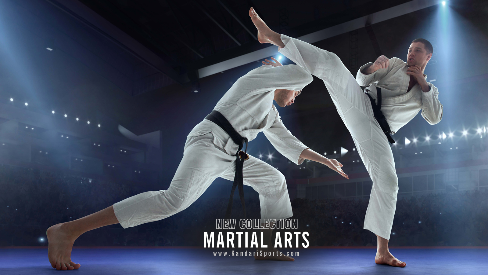 Martial Arts